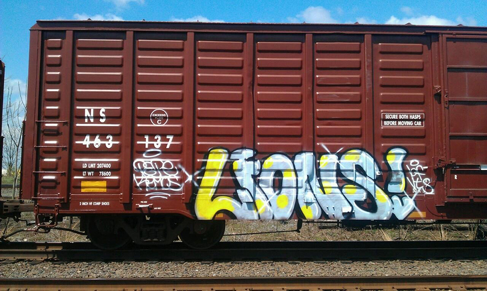 Lions_Graffiti_SprayDaily_01