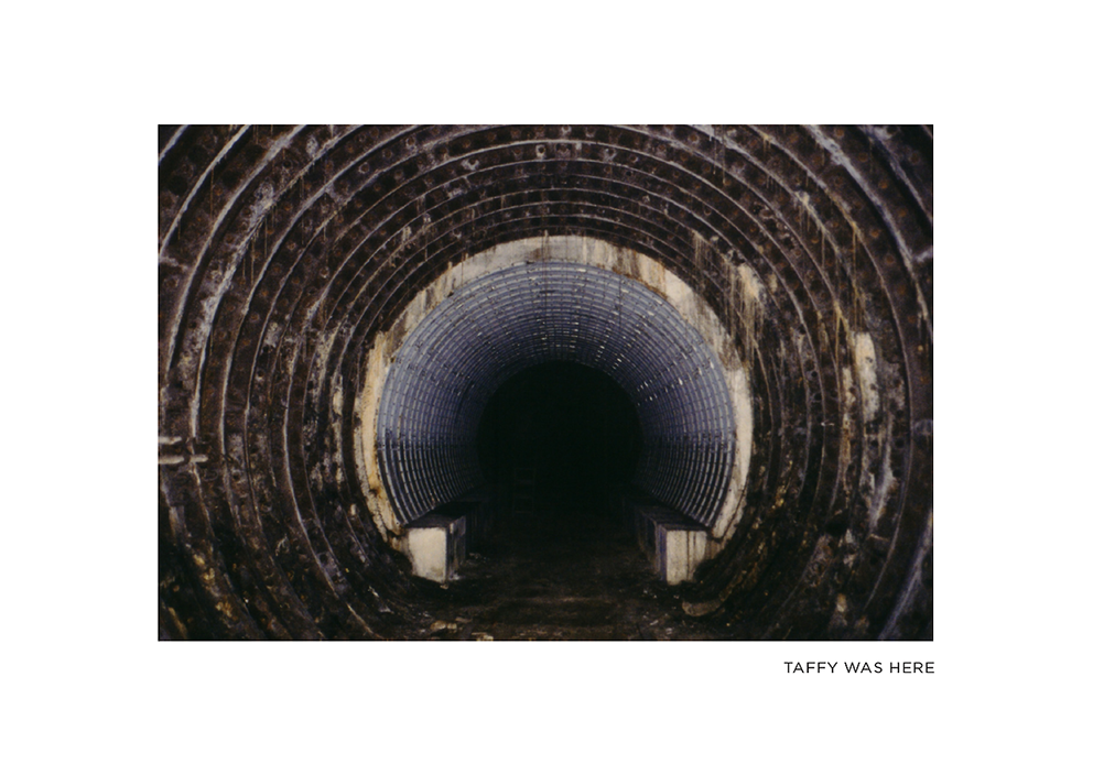 Taffy-Was-Here_Book_Spraydaily_01